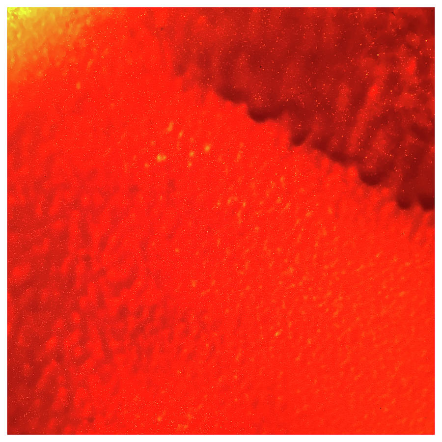 Red Abstract Paint Drips Square I Photograph by Tony Grider