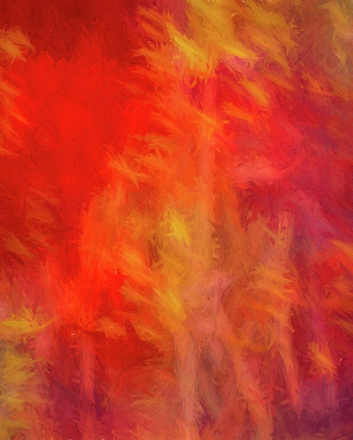 Red Abstract Digital Art by Steve DaPonte