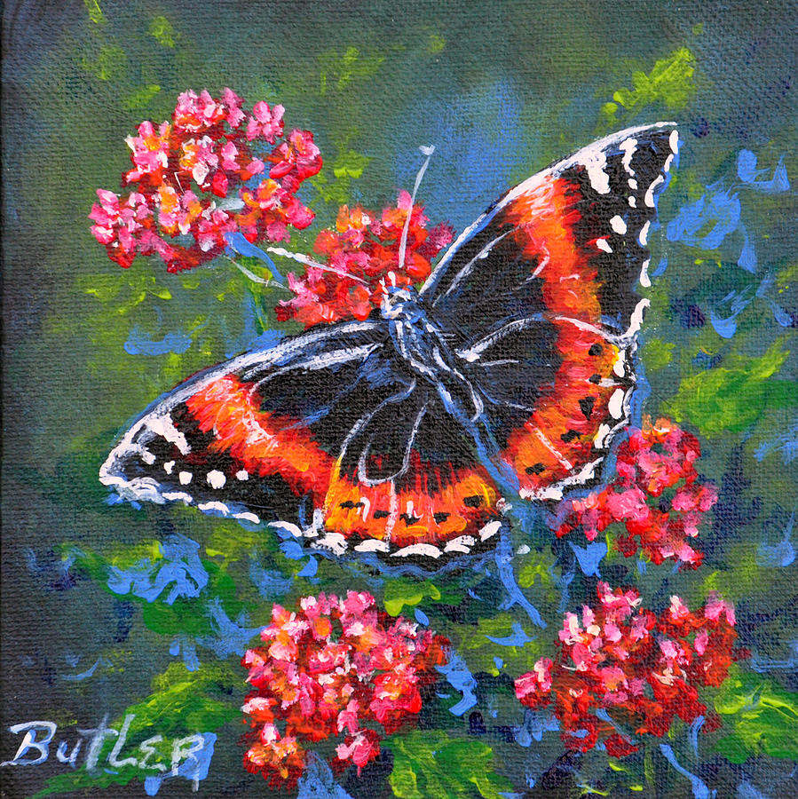 Red Admiral Painting by Gail Butler