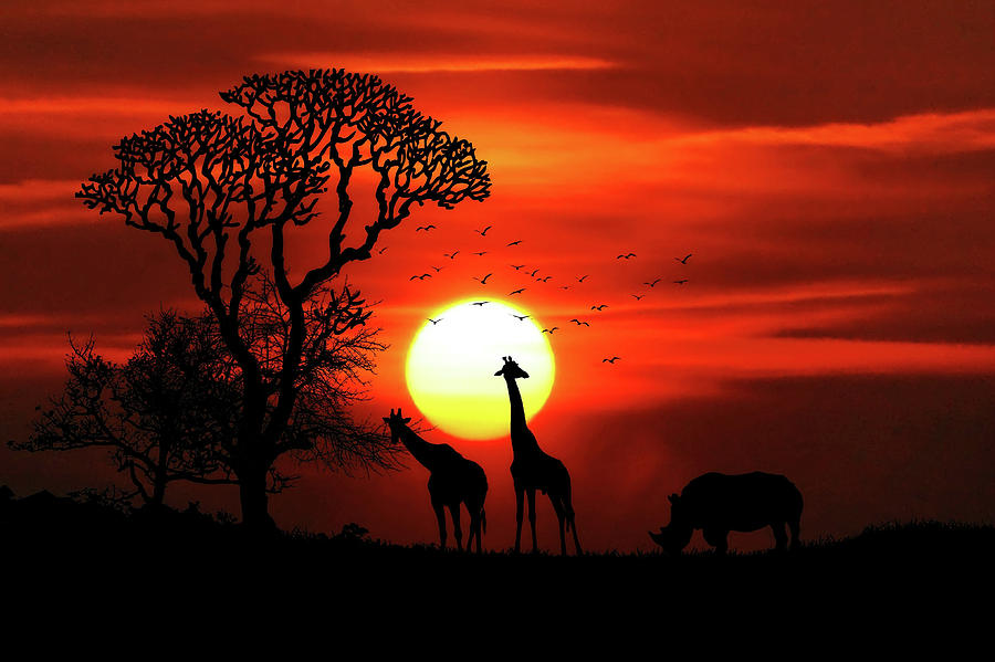 Landscape Photograph - Red African Savannah Sunset With Rhino And Giraffes by Wall Art Prints