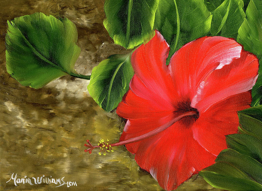 Poppy Painting - Red Amapola by Maria Williams