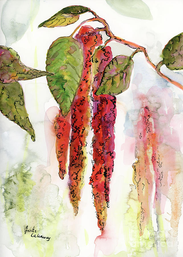Red Amaranth Modern Botanical  Painting by Ginette Callaway