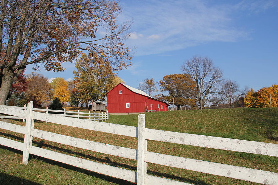 Fall Photograph - Red Amish Barn by Donna Bosela