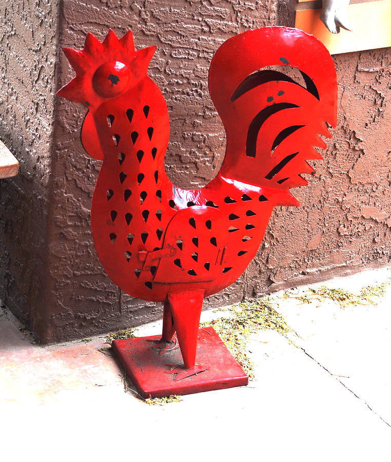 Red And Black Rooster Photograph by Jay Milo