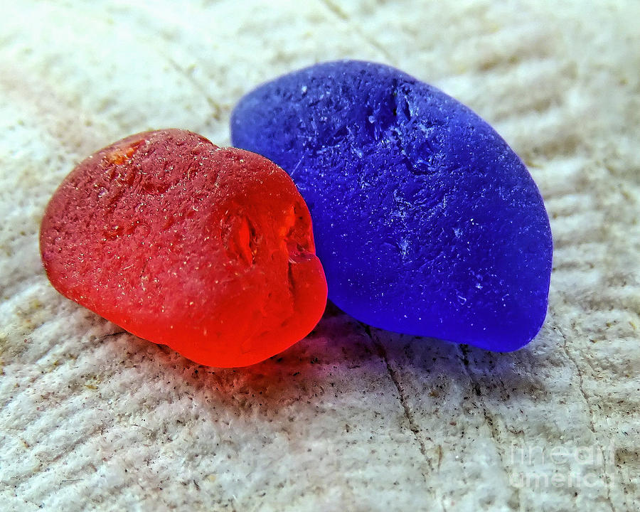 Red and Blue Photograph by Janice Drew
