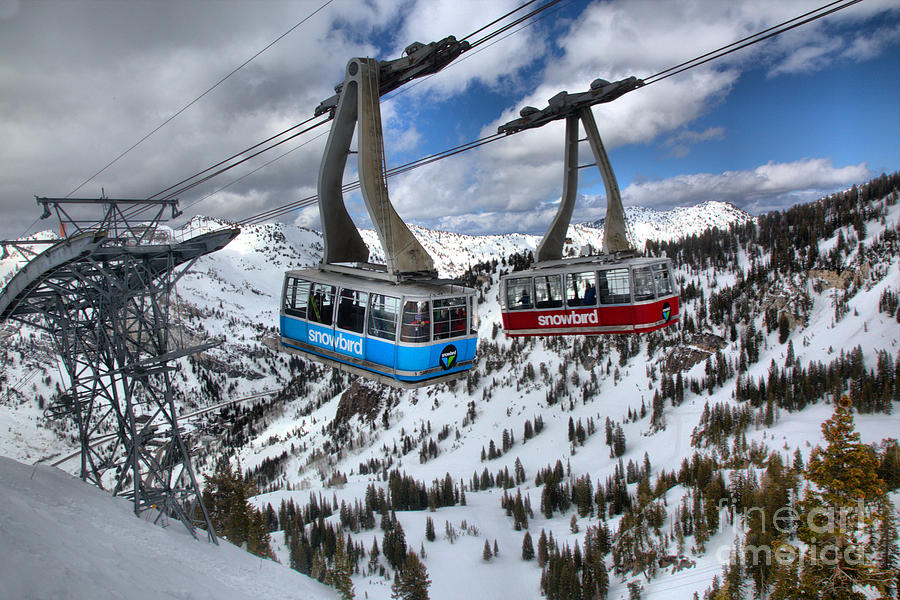 Red And Blue Snowbird Trams Photograph by Adam Jewell