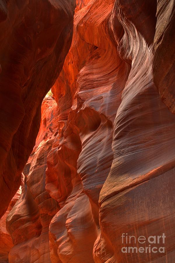 Red And Brown Swirling Sandstone Photograph by Adam Jewell