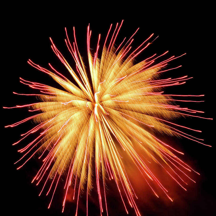 Red and Gold Fireworks Photograph by Cynthia Woods - Fine Art America