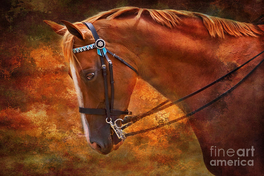 Red and Gold - Horse art by Michelle Wrighton Photograph by Michelle Wrighton