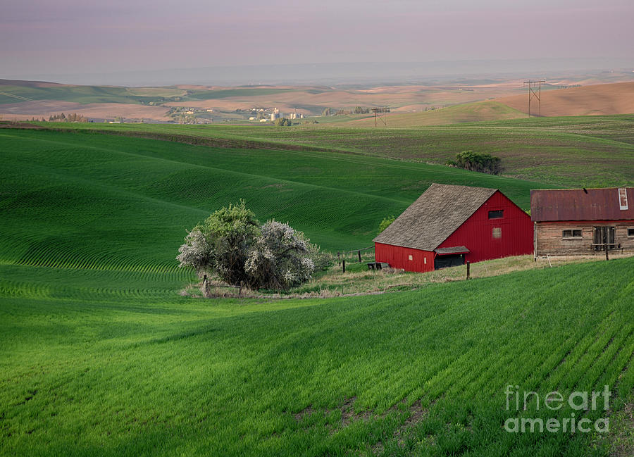Red and Green Photograph by Idaho Scenic Images Linda Lantzy