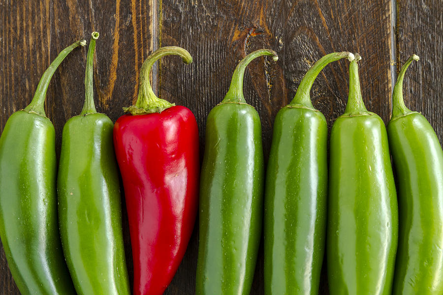 Red and Green Peppers Photograph by Teri Virbickis