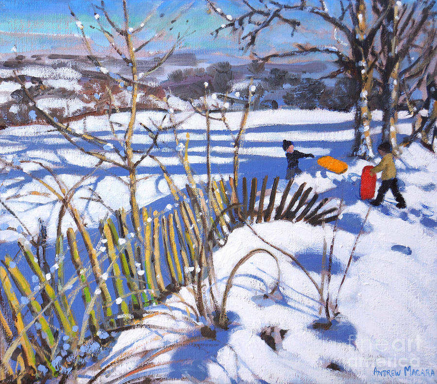 Tree Painting - Red and orange sledges, Derbyshire by Andrew Macara