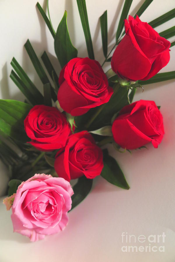 Red and Pink Rose Bouquet Photograph by Tara Shalton