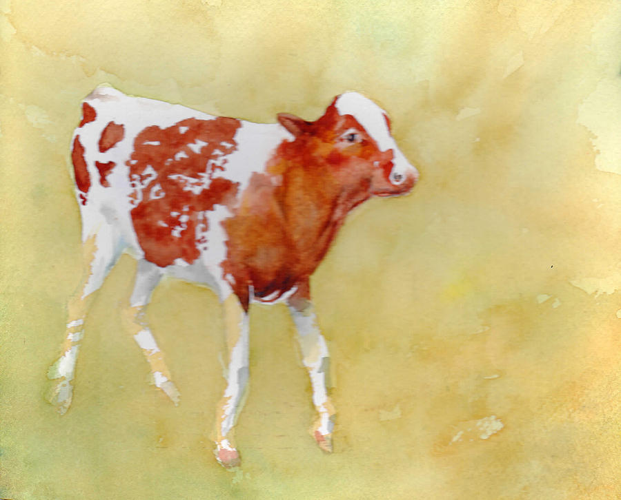 Red and white calf Painting by Maureen Moore