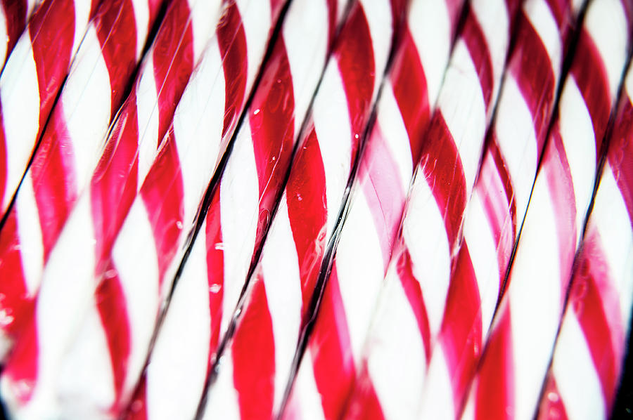Red and White Candy Canes Photograph by Helen Jackson