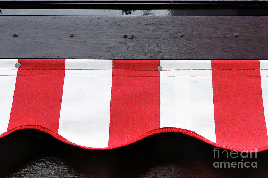 Red and white canopy Photograph by Tom Gowanlock