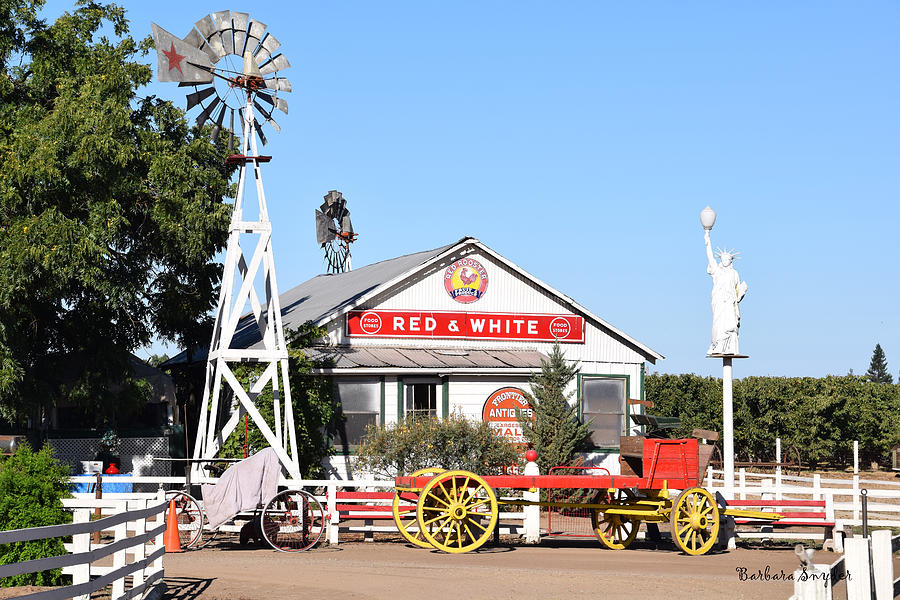 Red And White Food Stores Photograph By Barbara Snyder