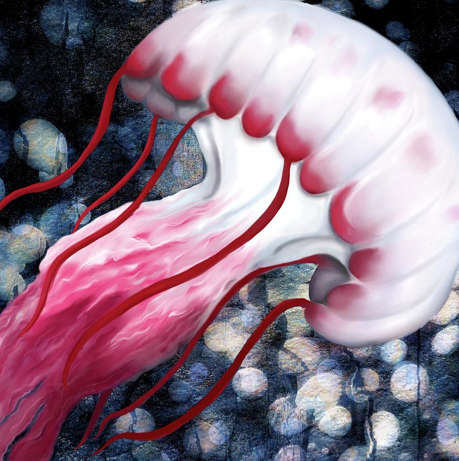 Red and White Jellyfish  Digital Art by Sand And Chi