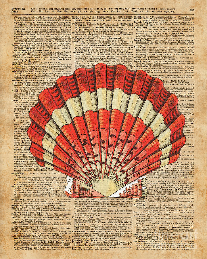 Vintage Digital Art - Red and White Ocean Sea Shell Dictionary Book Page Art by Anna W
