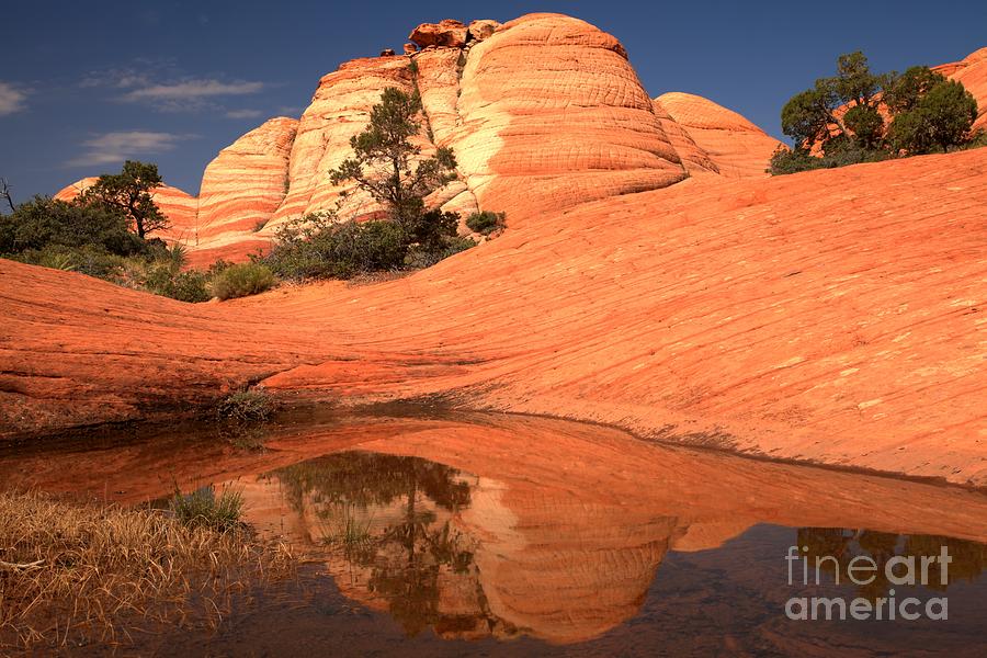 Red And White Reflections In Blue Photograph by Adam Jewell