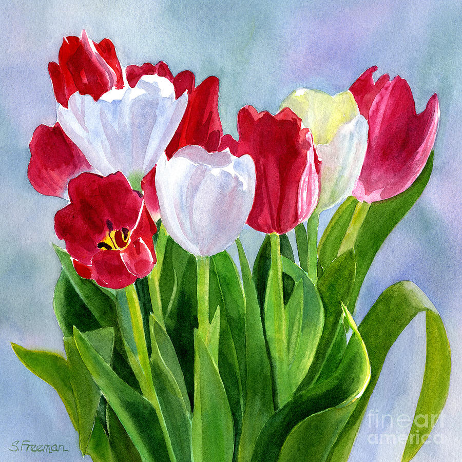 Tulip Painting - Red and White Tulip Bouquet by Sharon Freeman