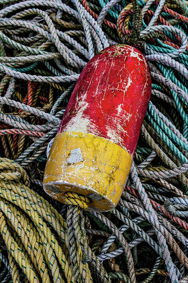 Rope Photograph - Red and Yellow Buoy by Carol Leigh