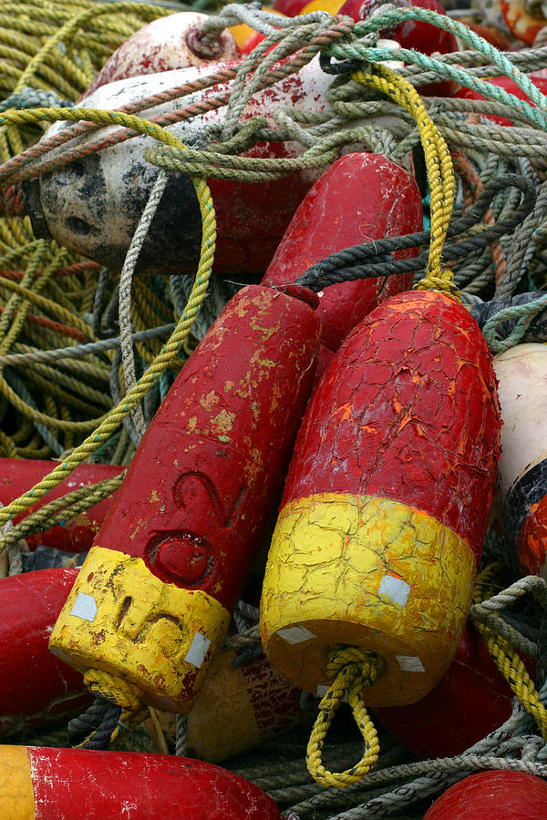 Red and Yellow Buoys Photograph by Carol Leigh