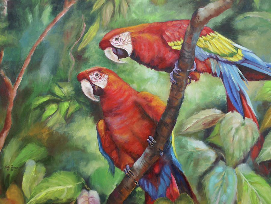 Red and Yellow Macaws Painting by Lucia Perrone - Fine Art America