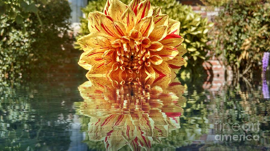 Red and yellow reflection Digital Art by Steven Wills