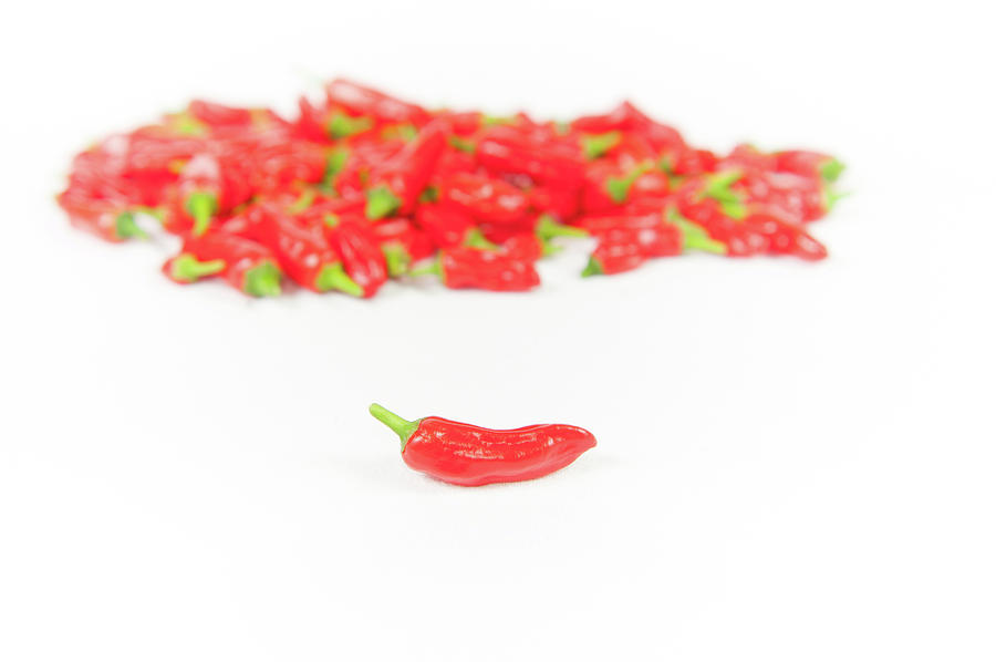 Red Apache Chillies Photograph by Helen Jackson