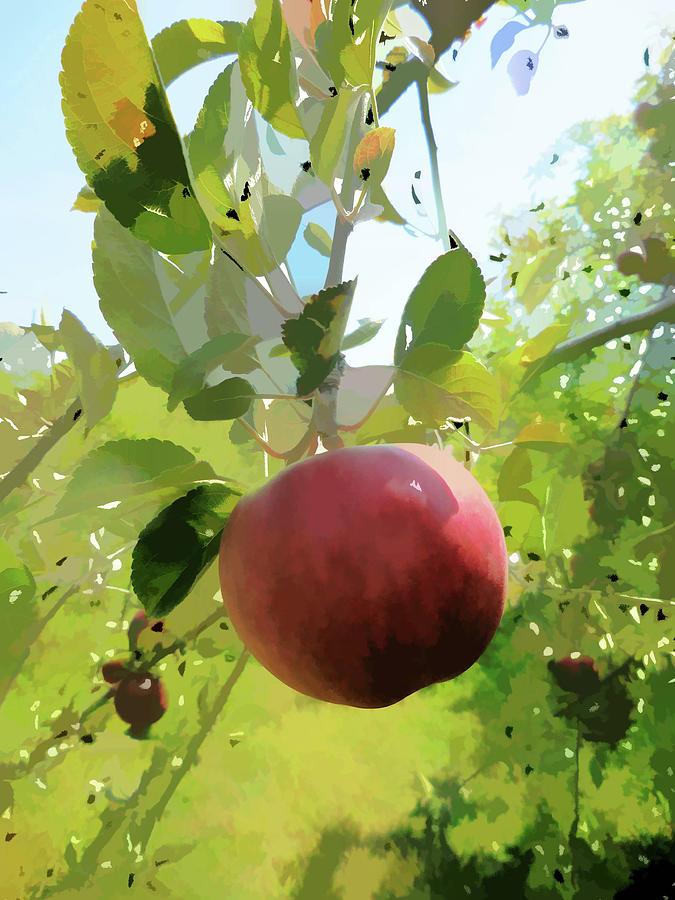 Red apple on tree Painting by Jeelan Clark