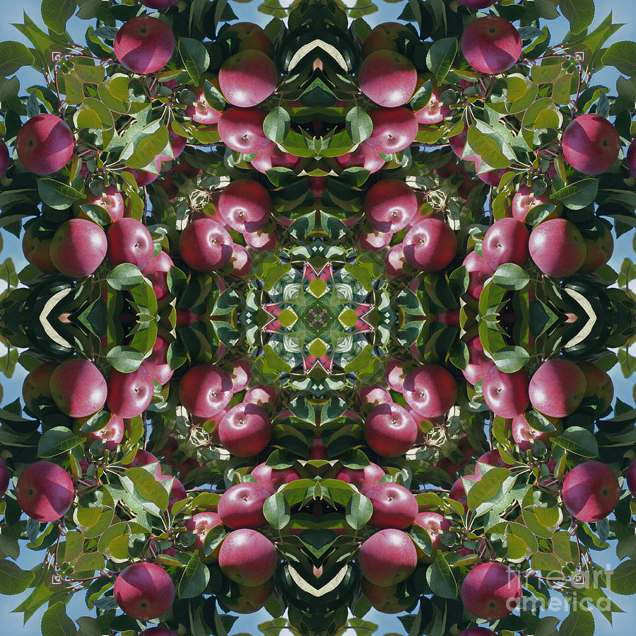Red Apples Kaleidoscope Digital Art by Smilin Eyes Treasures