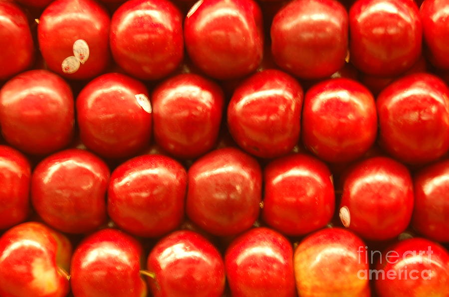 Red Apples Photograph by Mia Alexander