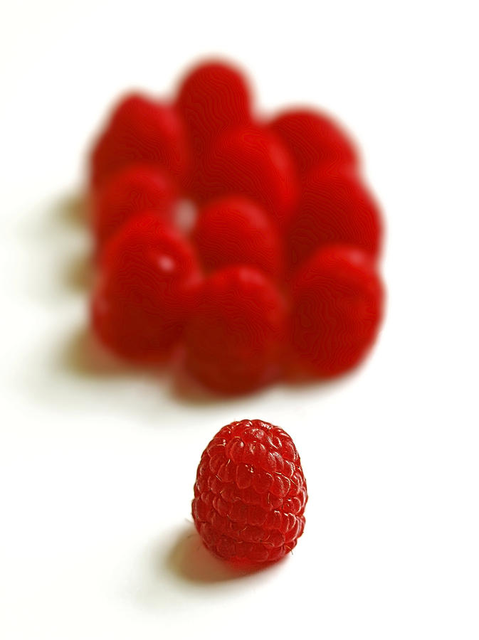 Raspberry Photograph - Red Army by Evelina Kremsdorf
