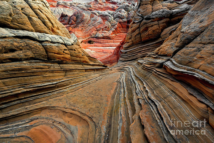 Desert Photograph - Red Around the Bend by Michael Dawson