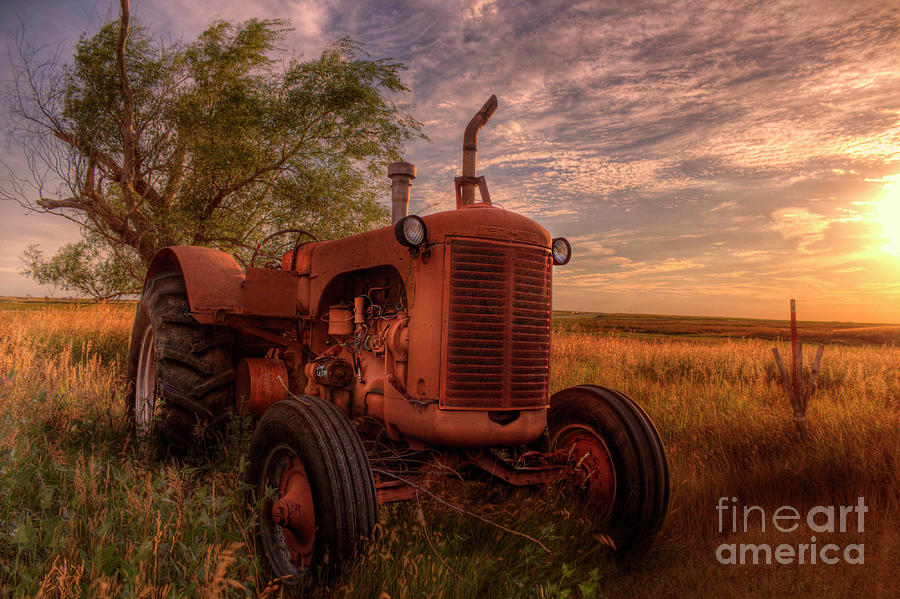 Red as the Sun Goes Down by Michele Richter Red as the Sun Goes Down by Michele Richter