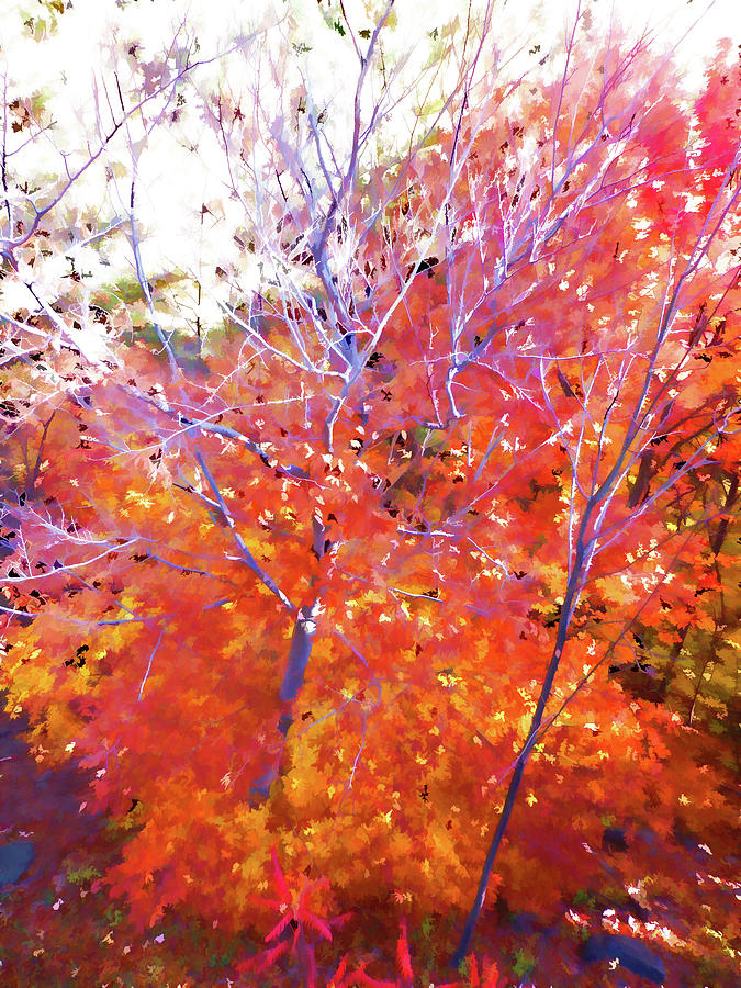 Red autumn leaves Painting by Jeelan Clark