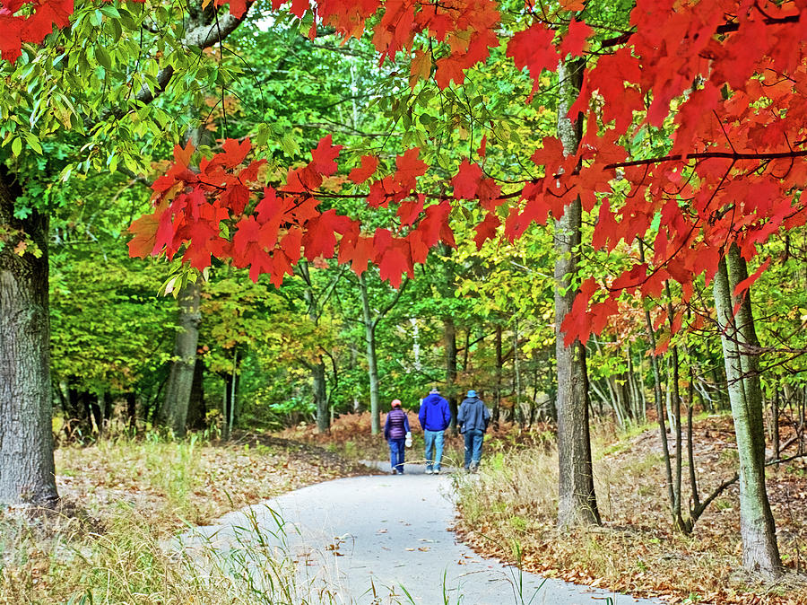 Red Autumn Leaves over Trail to North Beach Park in Ottawa County, Michigan  Photograph by Ruth Hager