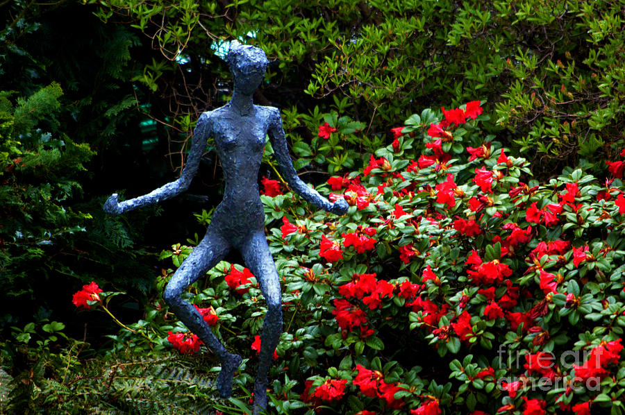 Red Azalea Lady Photograph