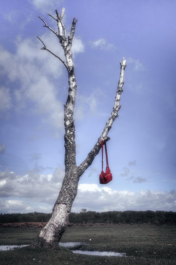 Tree Photograph - Red Bag by Joana Kruse