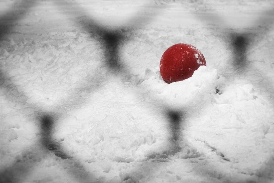 Red Ball in the Snow Photograph by Stuart Litoff
