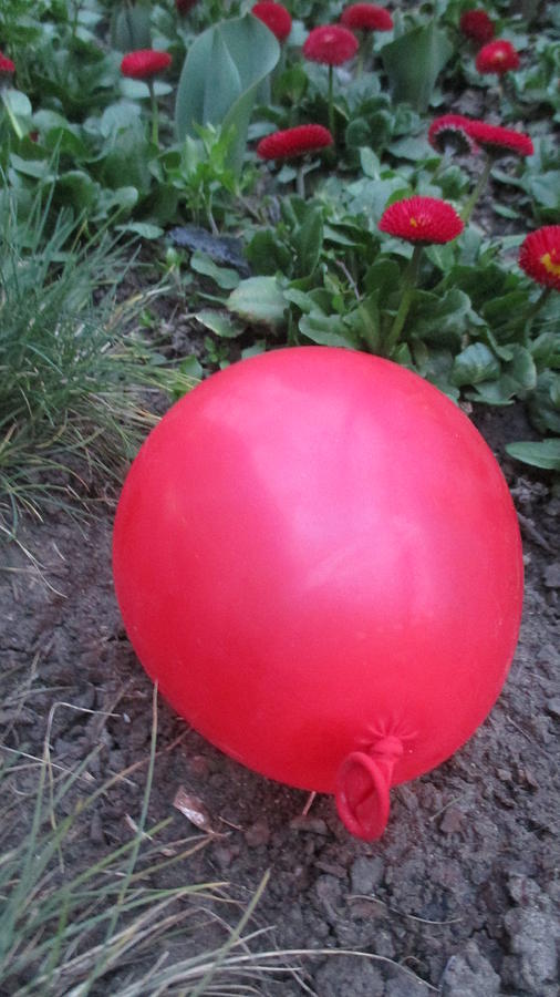 Red Balloon Photograph - Red balloon and red flowers by Anamarija Marinovic