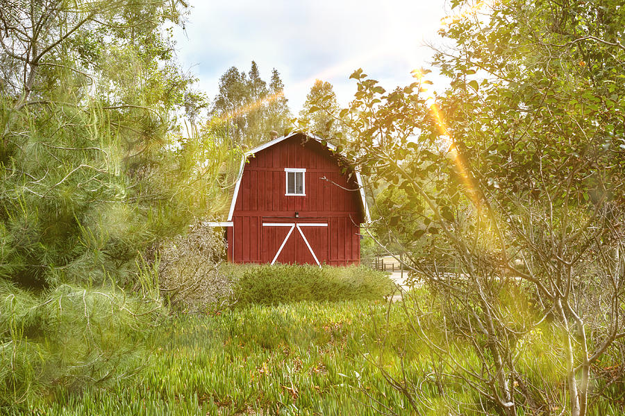 Red Barn Photograph by Alison Frank