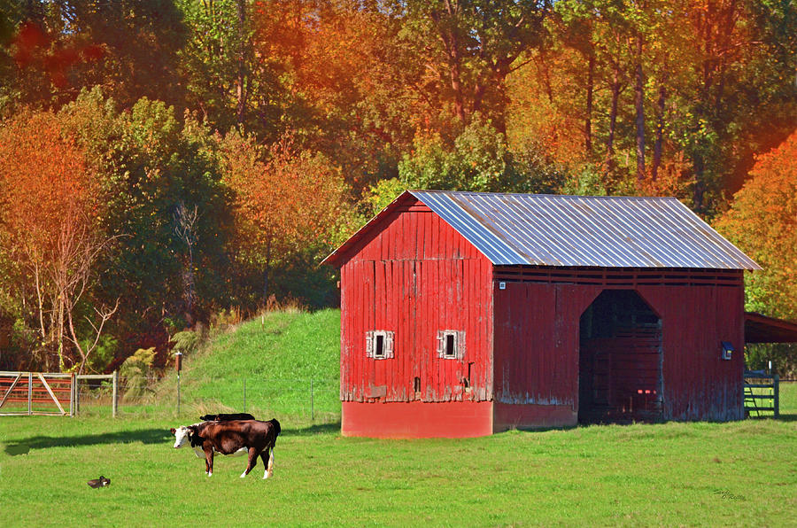 Red Barn Among Falls Beauty Photograph by Sandi OReilly
