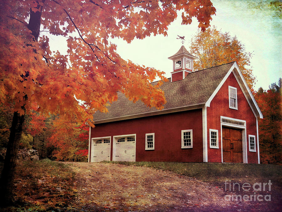 Red Barn and Foliage Photograph by Janice Drew