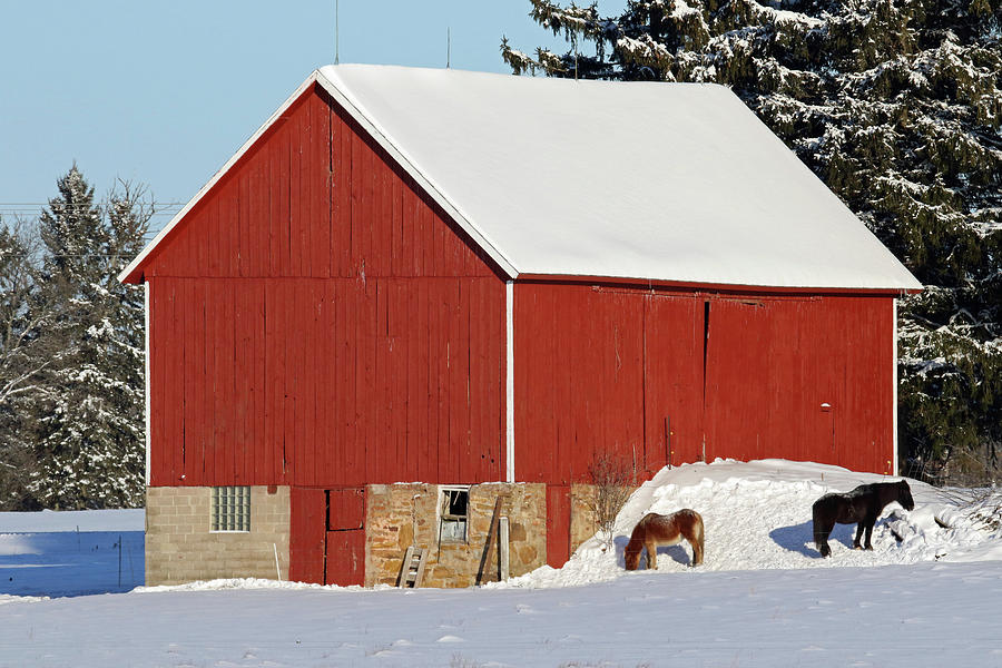 Red Barn and Horses Photograph by Brook Burling