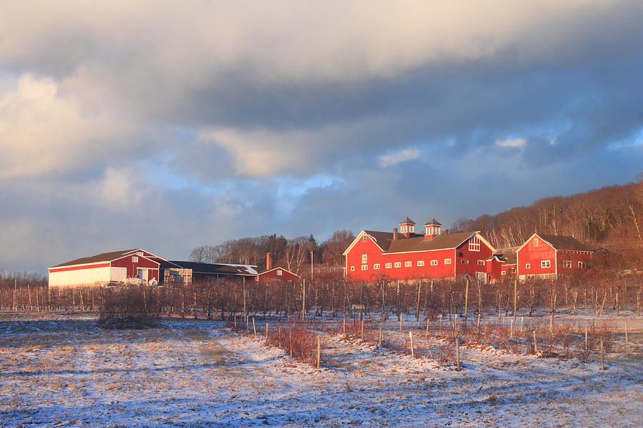 Red Barn and Orchard Winter Evening Photograph by John Burk