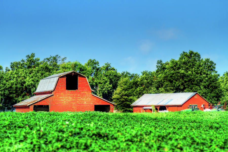 Red Barn and Shed Photograph by Barry Jones