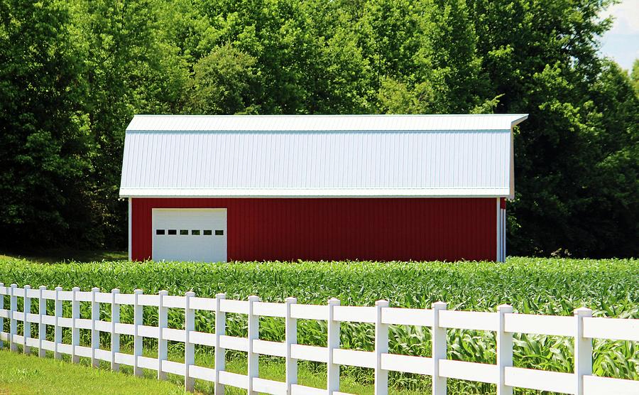 Red Barn And White Fence Photograph by Cynthia Guinn