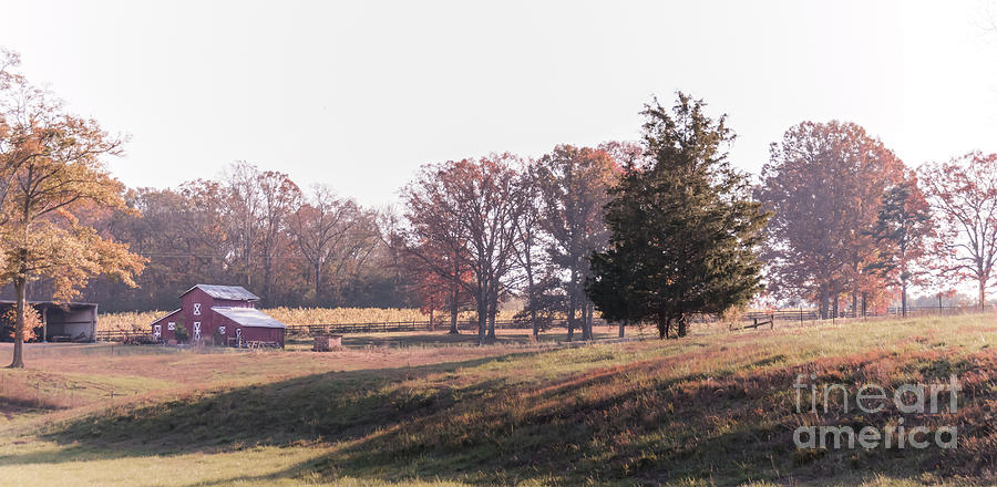 Red Barn Photograph by Andrea Anderegg